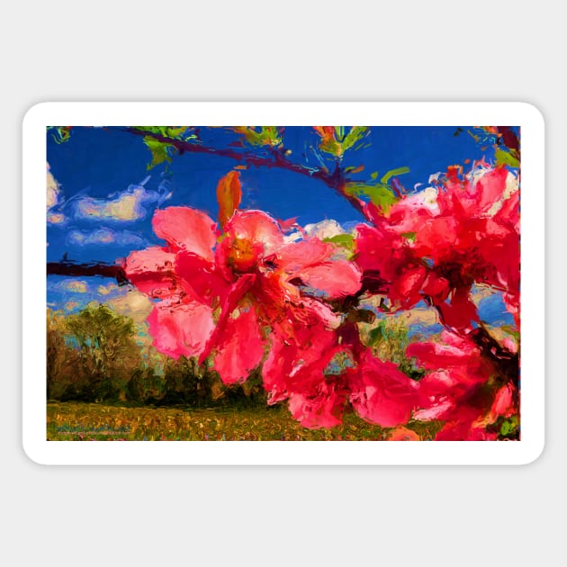 Blossoms of Pink Sticker by michaelasamples